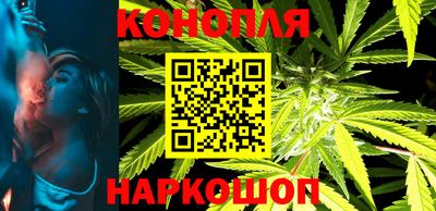 Альфа ПВП Кингисепп